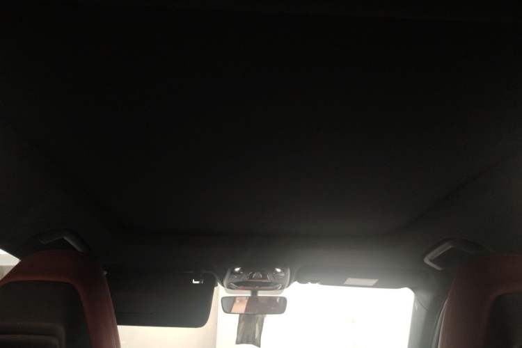 Used Lynk & Co 06 2020 1.5T JinPro model Headliner
