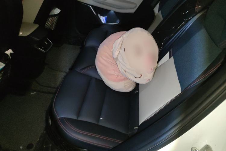Used Lynk & Co 06 2020 1.5T YAO Halo Left Rear Seat
