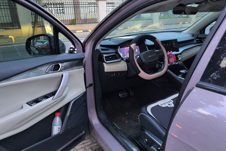 Used Lynk & Co 06 2021 1.5T Shero Pink Special Edition Driver Seat