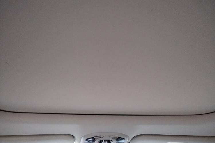 Used Lynk & Co 06 2021 1.5T Shero Pink Special Edition Headliner