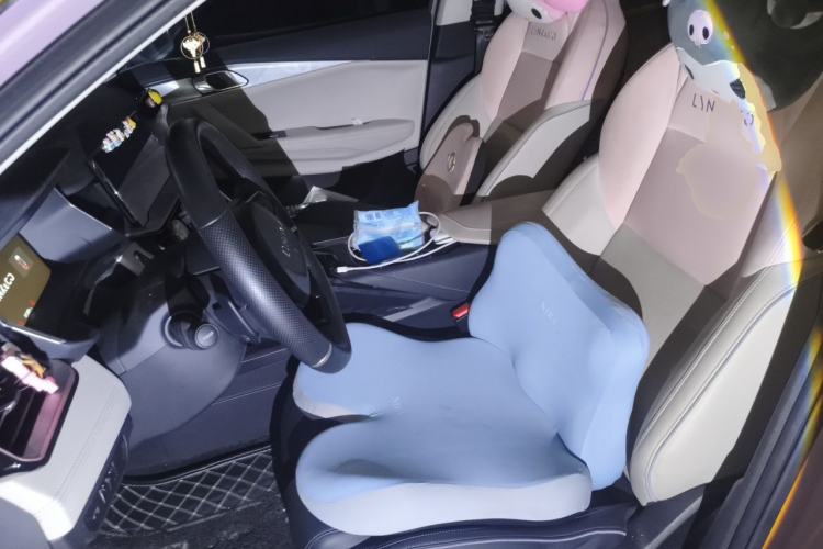 Used Lynk & Co 06 2021 1.5T Shero Pink Special Edition Left Front Seat