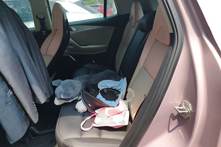 Used Lynk & Co 06 2021 1.5T Shero Pink Special Edition Left Rear Seat