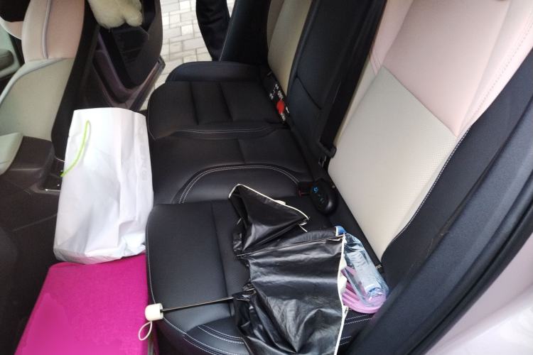 Used Lynk & Co 06 2021 1.5T Shero Pink Special Edition Left Rear Seat