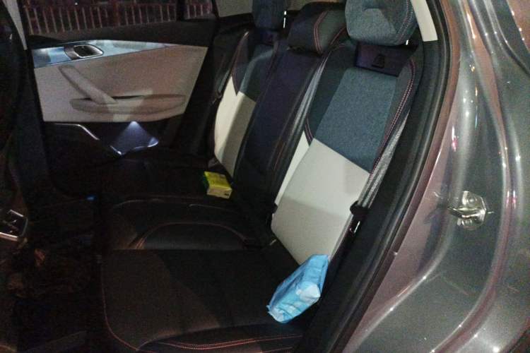 Used Lynk & Co 06 2021 1.5T Shero Pink Special Edition Left Rear Seat