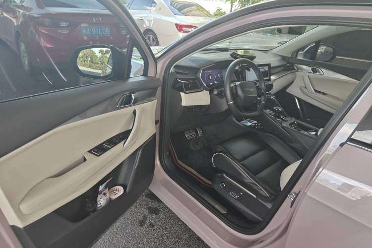 Used Lynk & Co 06 2021 1.5T Shero Pink Special Edition Driver Seat