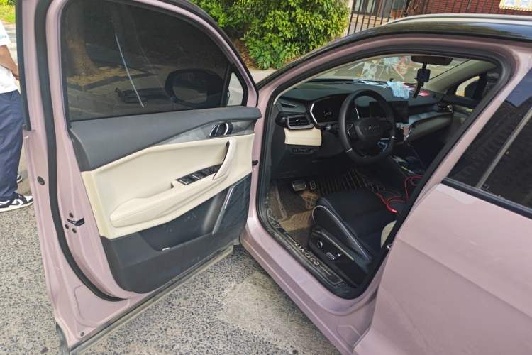 Used Lynk & Co 06 2021 1.5T Shero Pink Special Edition Driver Seat