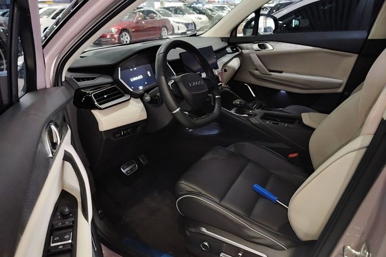 Used Lynk & Co 06 2021 1.5T Shero Pink Special Edition Driver Seat