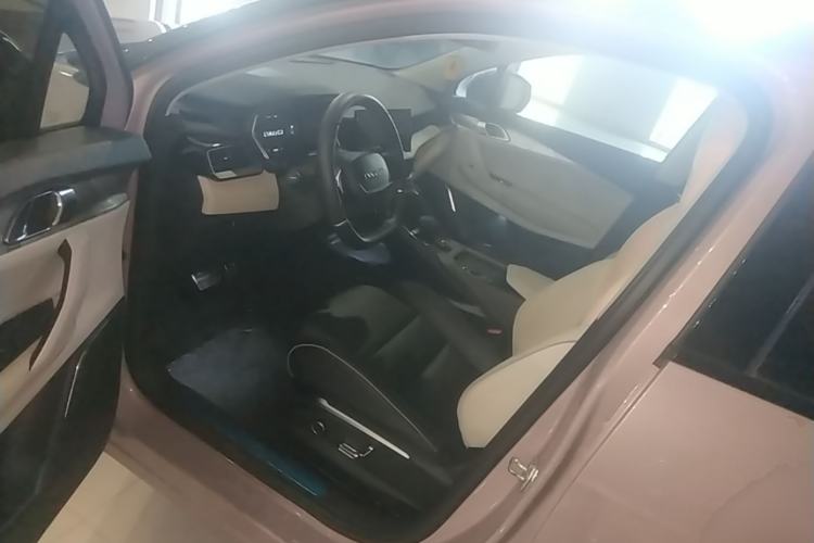 Used Lynk & Co 06 2021 1.5T Shero Pink Special Edition Driver Seat