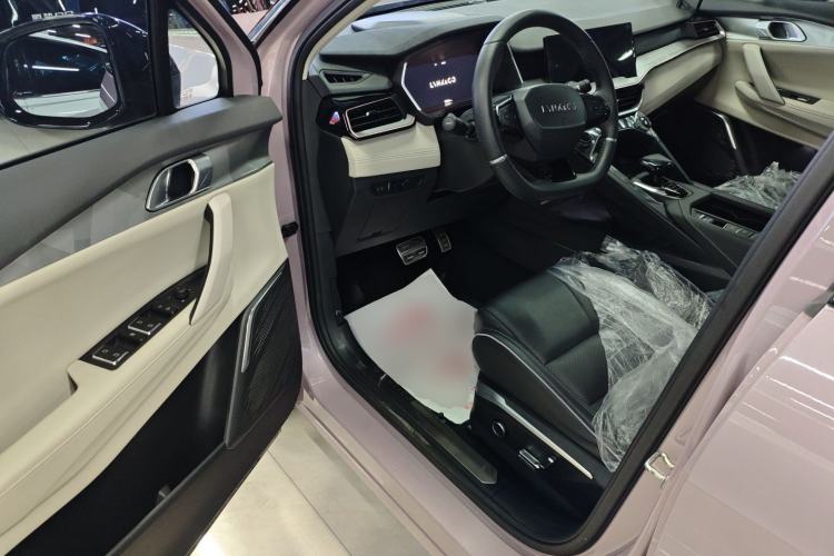 Used Lynk & Co 06 2021 1.5T Shero Pink Special Edition Driver Seat