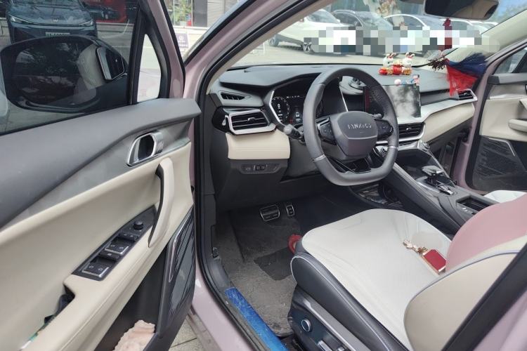 Used Lynk & Co 06 2021 1.5T Shero Pink Special Edition Driver Seat