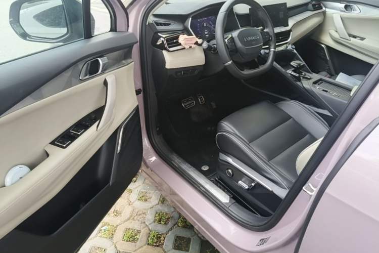 Used Lynk & Co 06 2021 1.5T Shero Pink Special Edition Driver Seat