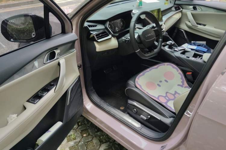 Used Lynk & Co 06 2021 1.5T Shero Pink Special Edition Driver Seat