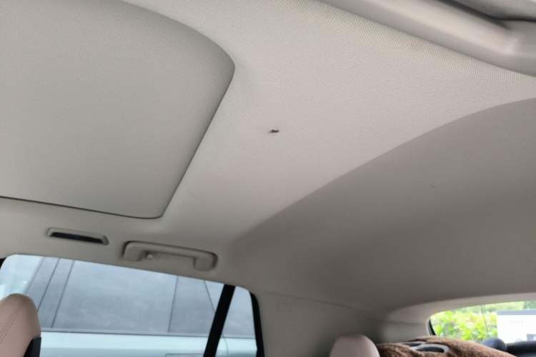 Used Lynk & Co 06 2021 1.5T Shero Pink Special Edition Headliner