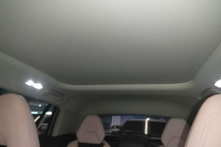 Used Lynk & Co 06 2021 1.5T Shero Pink Special Edition Headliner