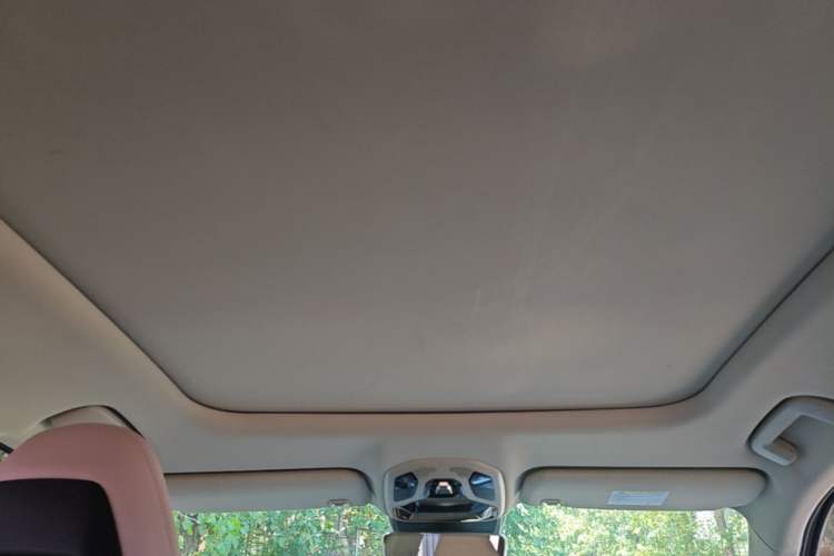 Used Lynk & Co 06 2021 1.5T Shero Pink Special Edition Headliner