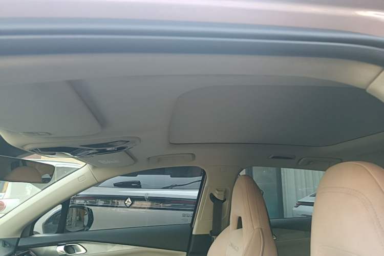 Used Lynk & Co 06 2021 1.5T Shero Pink Special Edition Headliner