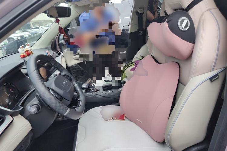 Used Lynk & Co 06 2021 1.5T Shero Pink Special Edition Left Front Seat