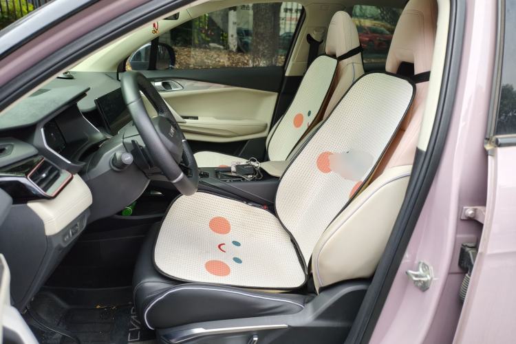 Used Lynk & Co 06 2021 1.5T Shero Pink Special Edition Left Front Seat