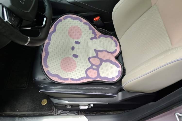 Used Lynk & Co 06 2021 1.5T Shero Pink Special Edition Left Front Seat