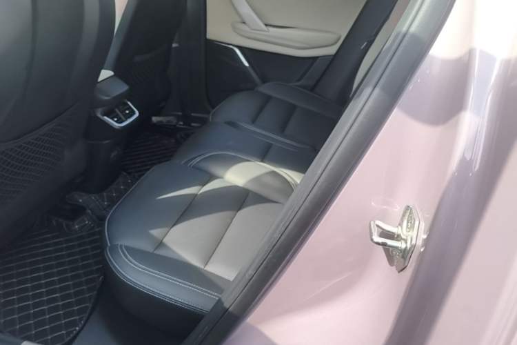 Used Lynk & Co 06 2021 1.5T Shero Pink Special Edition Left Rear Seat