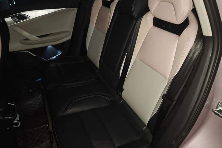 Used Lynk & Co 06 2021 1.5T Shero Pink Special Edition Left Rear Seat