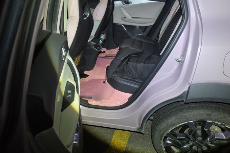 Used Lynk & Co 06 2021 1.5T Shero Pink Special Edition Left Rear Seat