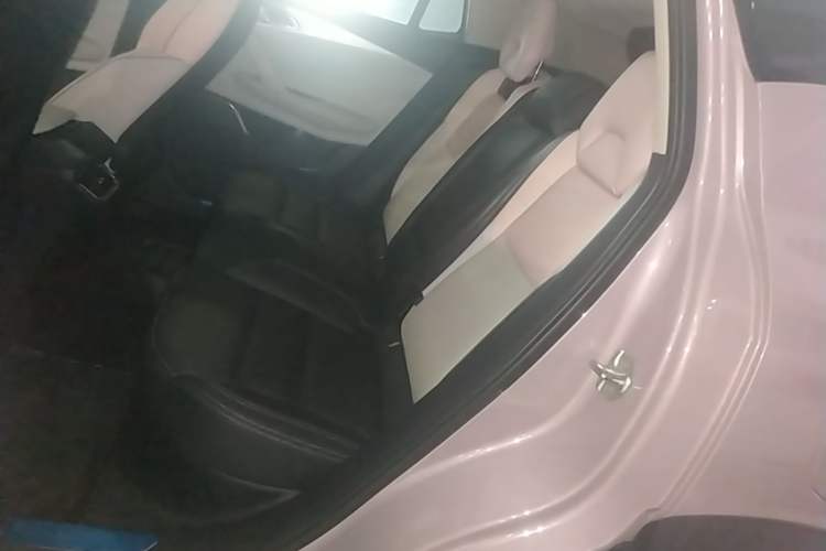 Used Lynk & Co 06 2021 1.5T Shero Pink Special Edition Left Rear Seat