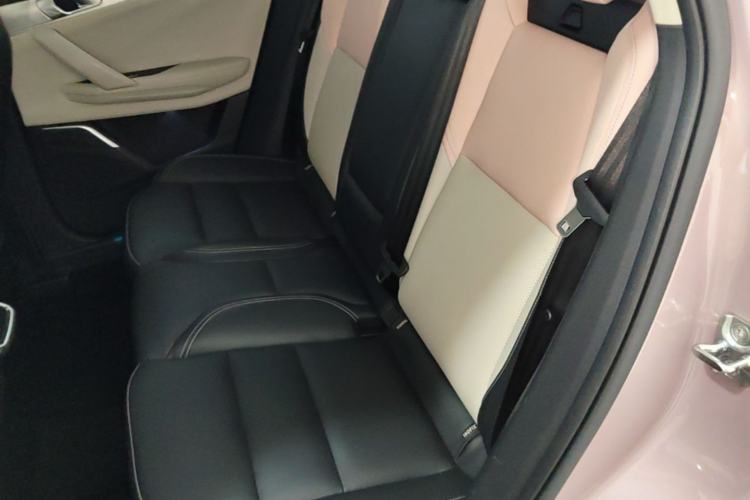 Used Lynk & Co 06 2021 1.5T Shero Pink Special Edition Left Rear Seat