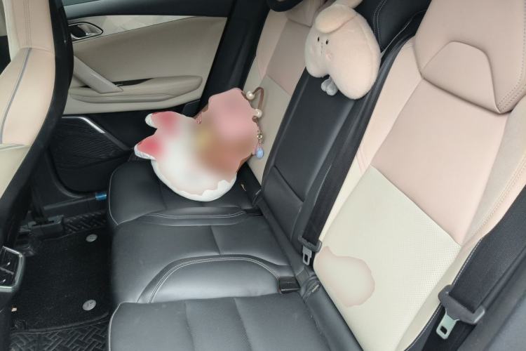 Used Lynk & Co 06 2021 1.5T Shero Pink Special Edition Left Rear Seat
