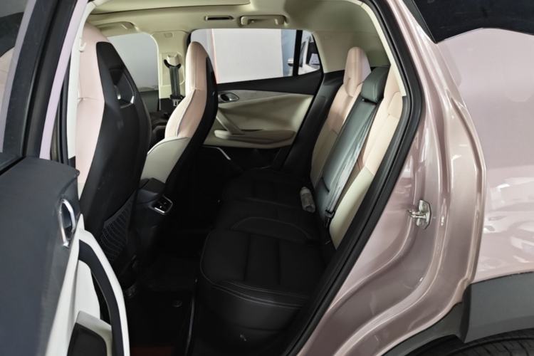 Used Lynk & Co 06 2021 1.5T Shero Pink Special Edition Left Rear Seat