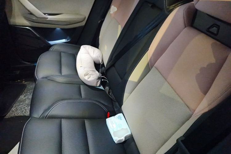 Used Lynk & Co 06 2021 1.5T Shero Pink Special Edition Left Rear Seat