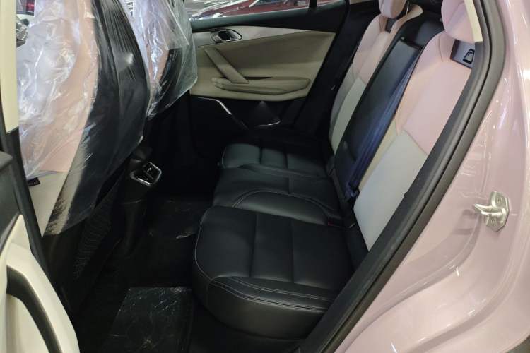 Used Lynk & Co 06 2021 1.5T Shero Pink Special Edition Left Rear Seat