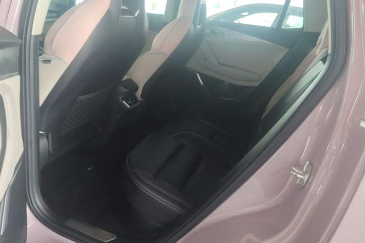 Used Lynk & Co 06 2021 1.5T Shero Pink Special Edition Left Rear Seat