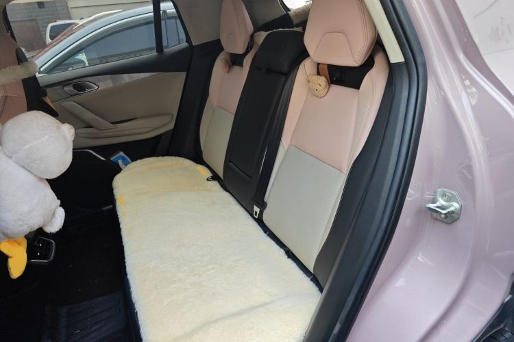Used Lynk & Co 06 2021 1.5T Shero Pink Special Edition Left Rear Seat