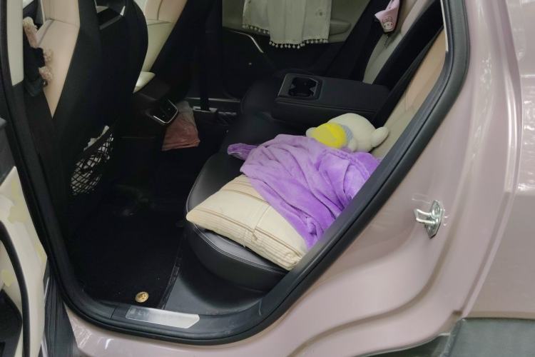 Used Lynk & Co 06 2021 1.5T Shero Pink Special Edition Left Rear Seat
