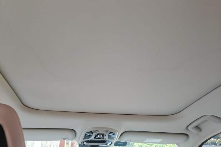 Used Lynk & Co 06 2021 1.5T Shero Pink Special Edition Headliner