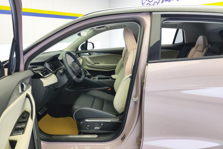 Used Lynk & Co 06 2021 1.5T Shero Pink Special Edition Left Front Seat