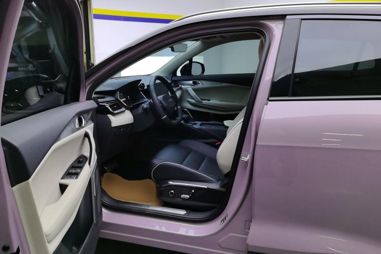 Used Lynk & Co 06 2021 1.5T Shero Pink Special Edition Left Front Seat