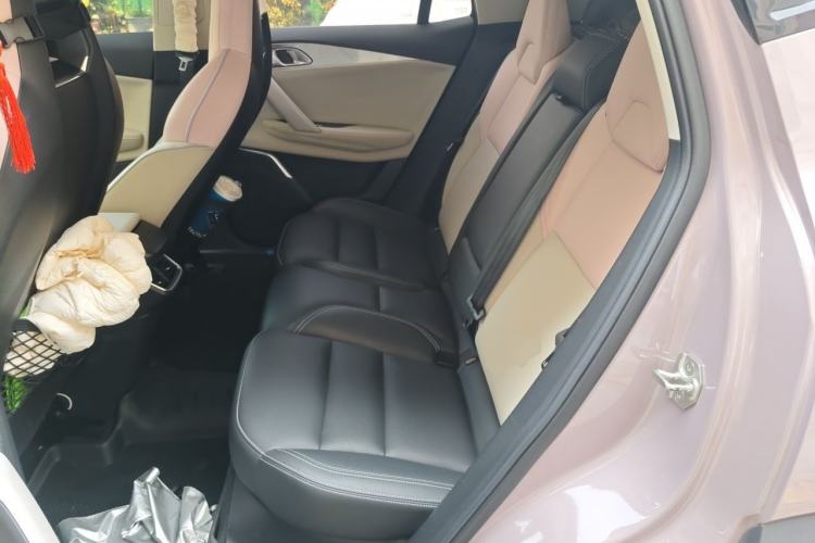 Used Lynk & Co 06 2021 1.5T Shero Pink Special Edition Left Rear Seat