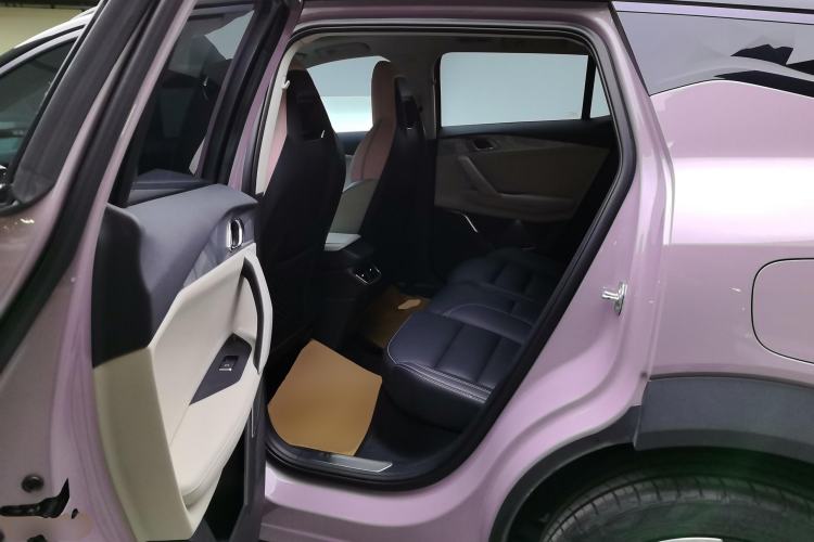 Used Lynk & Co 06 2021 1.5T Shero Pink Special Edition Left Rear Seat
