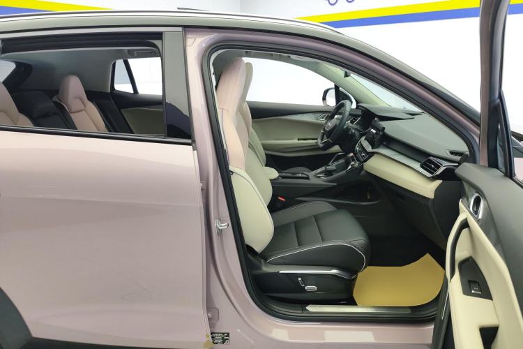 Used Lynk & Co 06 2021 1.5T Shero Pink Special Edition Right Front Seat