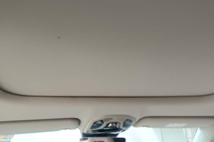 Used Lynk & Co 06 2021 1.5T Shero Pink Special Edition Headliner