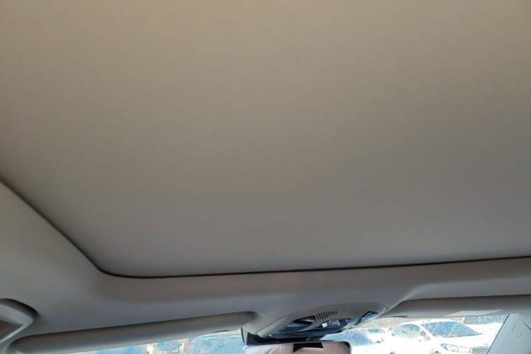 Used Lynk & Co 06 2021 1.5T Shero Pink Special Edition Headliner