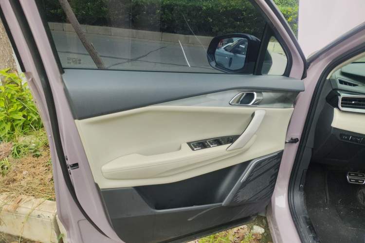 Used Lynk & Co 06 2021 1.5T Shero Pink Special Edition Left Front Door Interior
