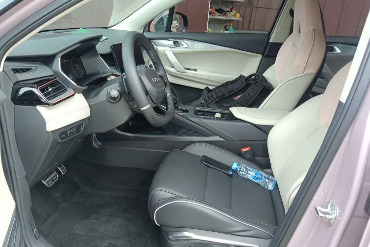 Used Lynk & Co 06 2021 1.5T Shero Pink Special Edition Left Front Seat