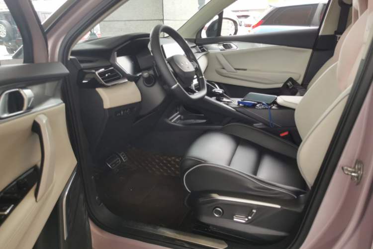 Used Lynk & Co 06 2021 1.5T Shero Pink Special Edition Left Front Seat