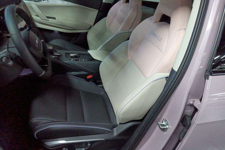 Used Lynk & Co 06 2021 1.5T Shero Pink Special Edition Left Front Seat