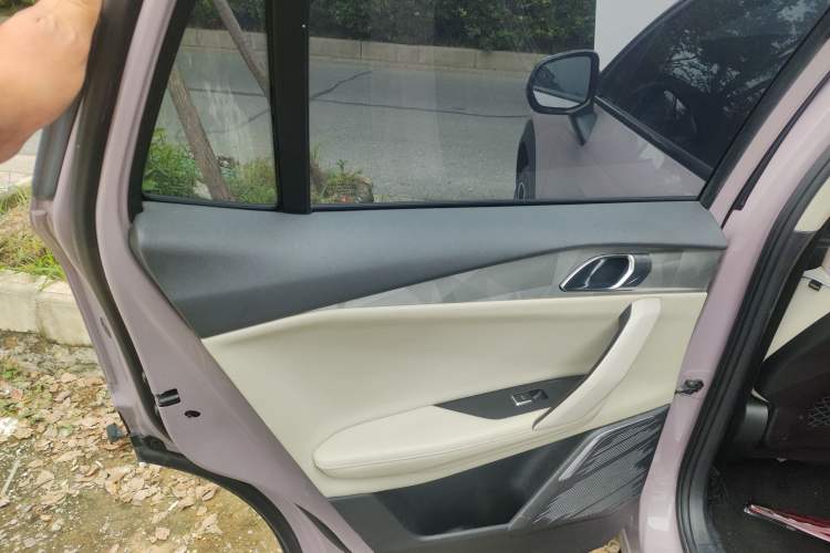 Used Lynk & Co 06 2021 1.5T Shero Pink Special Edition Left Rear Door Interior