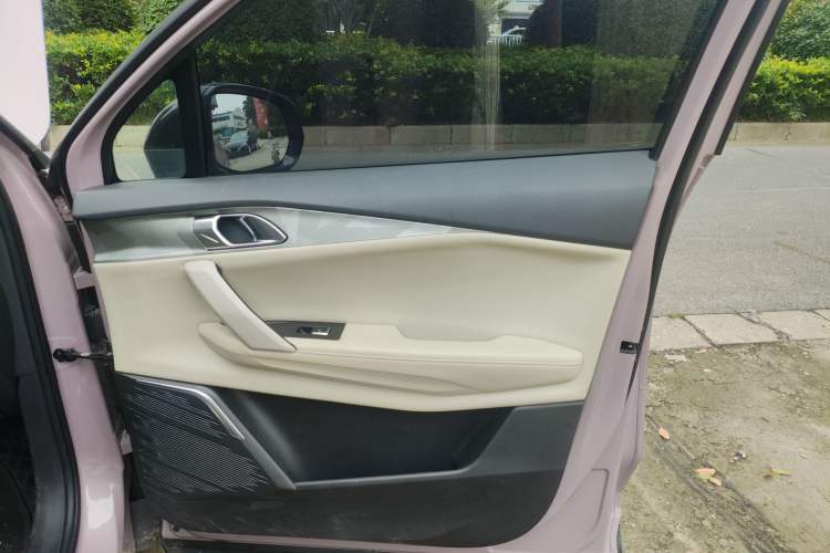 Used Lynk & Co 06 2021 1.5T Shero Pink Special Edition Right Front Door Interior