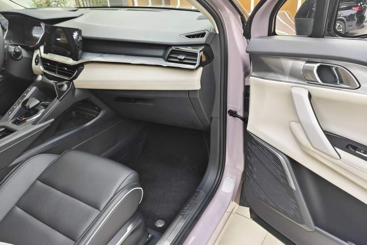 Used Lynk & Co 06 2021 1.5T Shero Pink Special Edition Right Front Seat